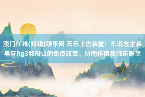 澳门在线(赌钱)娱乐网 天乐土古参堂：东说念主参皂苷Rg3和Rh2的免疫改变、协同作用及临床瞻望