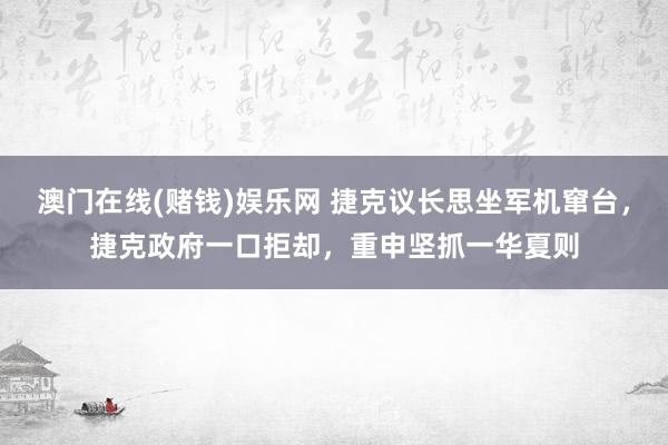 澳门在线(赌钱)娱乐网 捷克议长思坐军机窜台，捷克政府一口拒却，重申坚抓一华夏则
