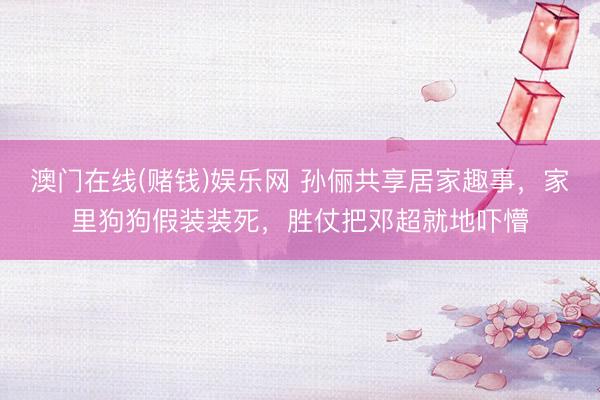 澳门在线(赌钱)娱乐网 孙俪共享居家趣事，家里狗狗假装装死，胜仗把邓超就地吓懵