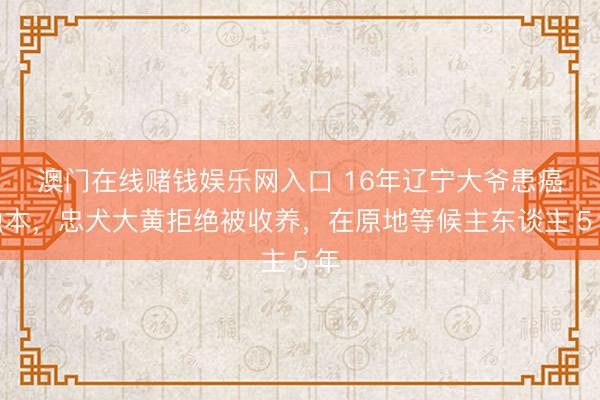 澳门在线赌钱娱乐网入口 16年辽宁大爷患癌蚀本，忠犬大黄拒绝被收养，在原地等候主东谈主５年